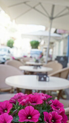 Vibrant pink petunias on outdoor cafe table in sunny torrevieja, spain with blurred urban background