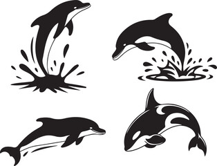 Jumping Dolphin Silhouette Vector Set on White Background