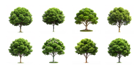 Collection of eight different green trees isolated on transparent background, showcasing natures diversity and beauty in a simple, clean design