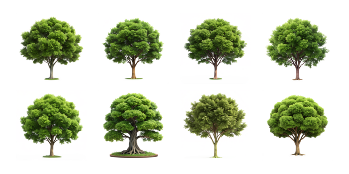 Collection of eight different green trees isolated on transparent background, showcasing natures diversity and beauty in a simple, clean design