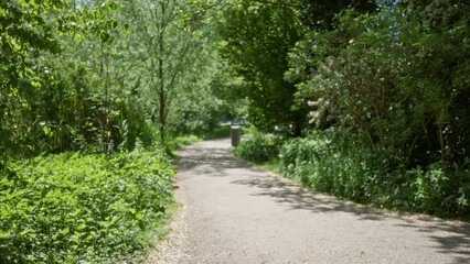 Fototapeta premium Pathway leading through lush green park with blurred background and sunlight filtering through trees, creating a serene and tranquil atmosphere with defocused flowers and foliage.
