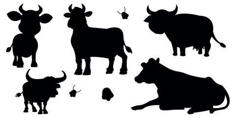 Cow silhouettes set – vector collection of farm animal cattle shapes in black, Isolated style, black and white cows