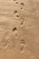 Footprints in the sand from the footsteps of a man and pigeon close up