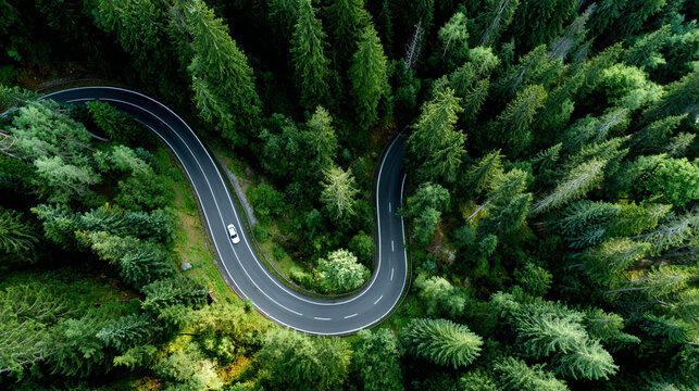 Aerial view of a car driving on a curved road through a dense forest in nature, from a top-down perspective - Powered by Adobe