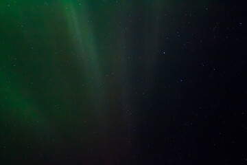 Obraz premium Polar Lights (Aurora borealis). Green northern lights and stars are visible in the dark night sky. Amazing nature of the Arctic. The photo is perfect for the background.