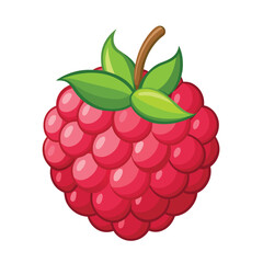 Raspberry vector illustration.
