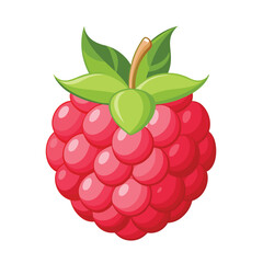 Raspberry vector illustration.