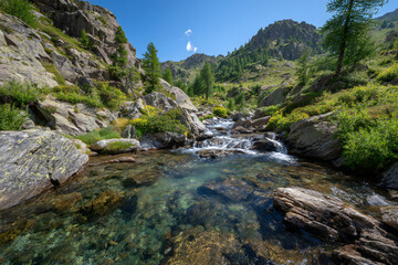 Crystal-clear mountain stream flowing through untouched valley, rocks, moss, and native plants surrounding the water, no human presence