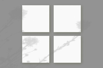Natural light casts shadows from wildflowers on 2 square sheets of white paper lying on a gray background. Mockup