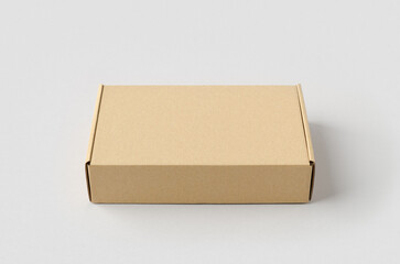 Kraft cardboard mailing box mockup on a gray background