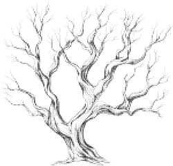 Obraz premium Black and white halftone illustration of a leafless tree with intricate branches