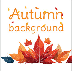 autumn leaves frame