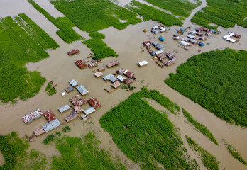 Sariakandi, Bangladesh - 15 July 2019: Aerial view of a flooded village where homes stand submerged amidst the contrasting green fields and muddy waters.