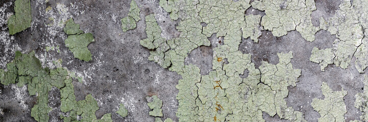 Peeling paint on the wall. Panorama of a concrete wall with old cracked flaking paint. Weathered...