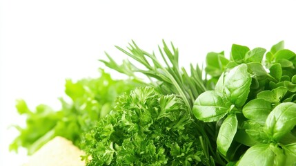 Fototapeta premium Fresh Green Herbs Arranged on a White Background for Culinary Use