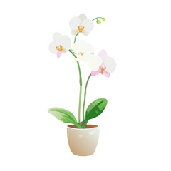 Obraz premium Elegant white orchid in a ceramic pot adds a touch of beauty to any indoor space or garden design, showcasing nature's artistry and vibrant colors