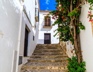 Whitewashed alleyway, stairs, bougainvillea
