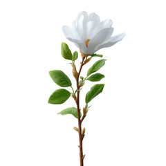 Fototapeta premium A beautiful white magnolia flower with delicate petals and lush green leaves on a slender stem, perfect for floral arrangements and nature-themed designs.