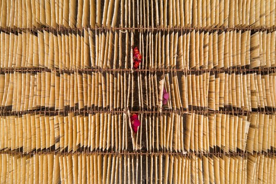 Bogura, Bangladesh - 04 May 2023: Aerial view of drying food items arranged in neat rows, with women in vibrant saris adding splashes of color.