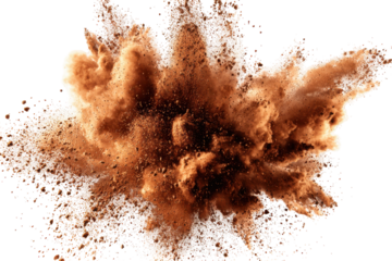 Brown powder explosion creates a stunning cloud in a creative art project during daytime