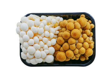 Top view image of White Shimeji and Brown Shimeji together in the black plastic container for sale in market. Isolated mushroom in the box on white background.