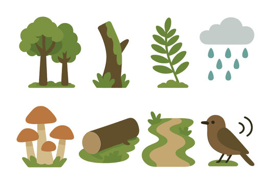 Rainforest Icons for Kids. Flat vector mini-illustrations Temperate rainforest biome in colors children's