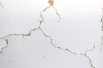 White background with cracks. Torn cracks on the texture. Textured space for design
