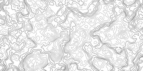 Vector topographic map background. Business concept. Design illustration for wall art, fabric, packaging, web, banner, wallpaper. Abstract vector illustration. 