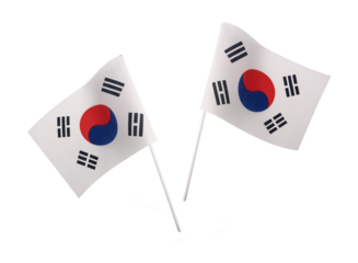 Small mini Republic of South Korea flag with real rough fabric details and pole stick for hand held isolated on transparent background or png file.