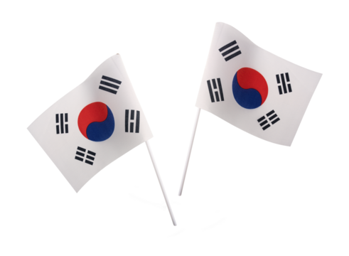 Small mini Republic of South Korea flag with real rough fabric details and pole stick for hand held isolated on transparent background or png file.