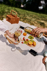 Enjoying a delightful summer picnic with friends in the park under the sun