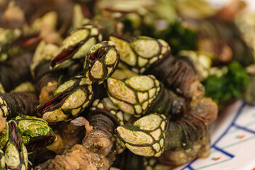 Harvested Gooseneck Barnacles, a Prized Delicacy of the Galician Coast, Piled High on a Plate. Concept: Gastronomy tourism