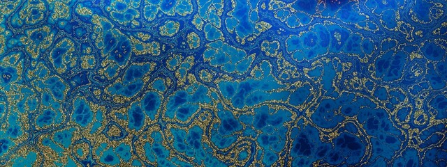 A blend of vibrant blue and golden textures, representing aquatic patterns and organic forms in nature