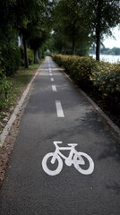 Obraz premium Peaceful bike path alongside a body of water