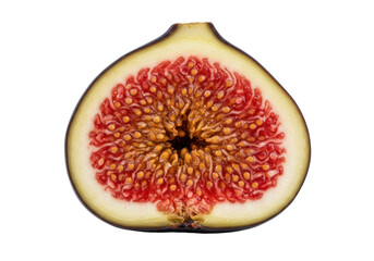 Isolated Cross-Section of Fig Fruit with Detailed Seed Structure
