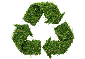 Isolated Vine Covered Recycle Symbol, Environmental Theme