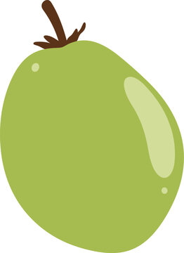 Illustration of a green coconut isolated on white background in cartoon style