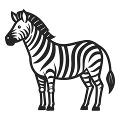 zebra isolated on white background