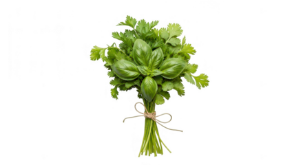 Fresh Herbs Bouquet, Isolated. A small bouquet of fresh herbs, neatly tied together with a piece of twine. The bouquet includes a variety of green herbs with different leaf shapes and textures. 