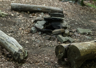 Fototapeta premium fire pit in the forest