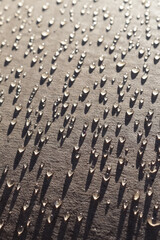 Fototapeta premium drops of water on cardboard