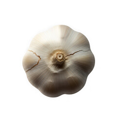 Overhead shot of a single garlic bulb with a white peel isolated on transparent background, showcasing its texture