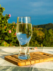 Artistic Photo of Mineral Water in Transparent Tumbler with Natural Light and Dreamy Green Background