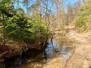 Wanderweg entlang des Hasselbachs nahe des Donoperteich im Hiddeser Wald bei Detmold, Teutoburger...