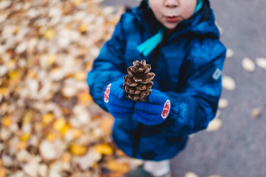 Child in Blue Jacket Playfully Holding Pine Cone Amidst Autumn Leaves on a Crisp Fall Day Outdoors