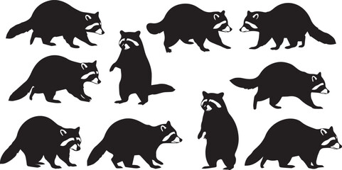 Fototapeta premium Set of ten black raccoon silhouettes in different poses and movements on a white background raccoons
