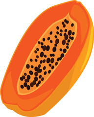 Vector illustration of ripe papaya fruit in red orange color, suitable for learning and stickers