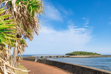 宮崎の青島と青空に映える橋と南国の風景