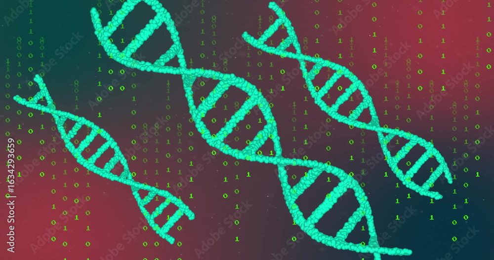 Poster floating cyan spherical dna helices blending green binary code on red-purple gradient, genetic data
