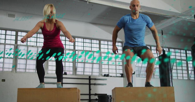 Jumping fitness partners on wooden plyometric boxes in sportswear at gym with barbell rack - Powered by Adobe